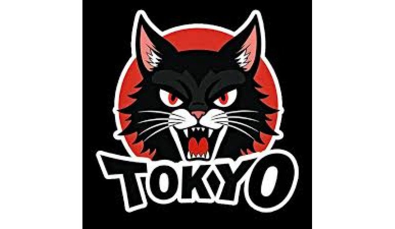 Tokyocanvas (US)